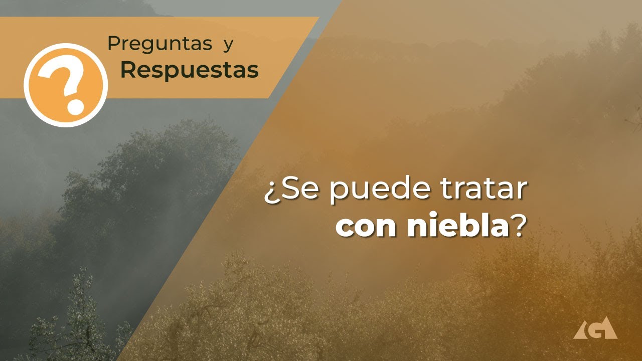 &iquest;Se puede tratar con niebla?