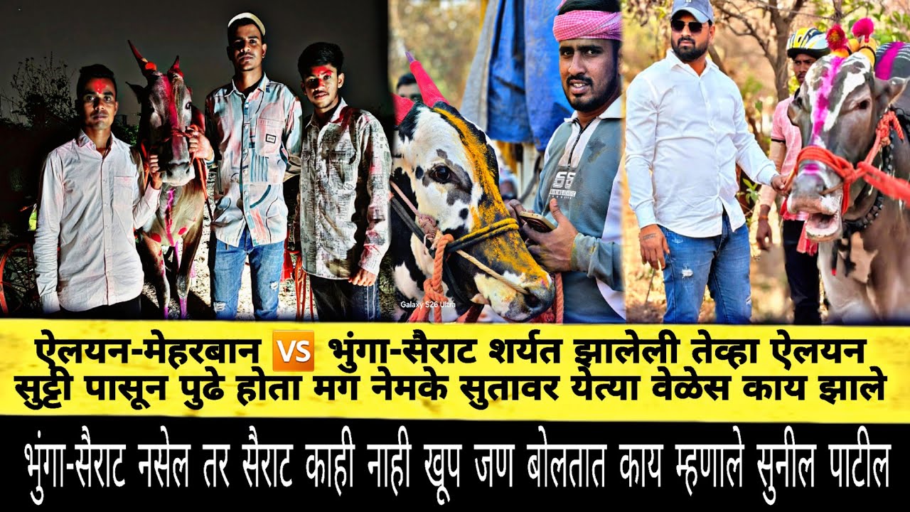 ऐलयन 🆚️भुंगा-सैराट शर्यत झालेली तेव्हा ऐलयन सुट्टीपासून पुढे होता नेमके सुतावर येत्या वेळेस काय झाले