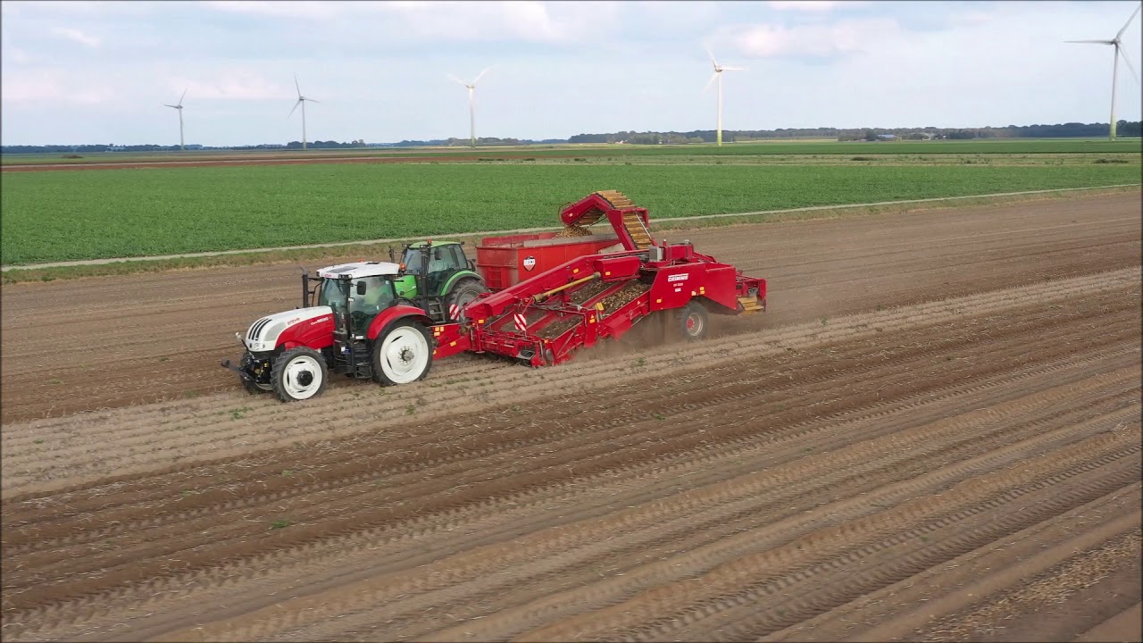 Aardappels rooien / steyr cvt 6230 /  grimme gv 3000 / augustus 2019