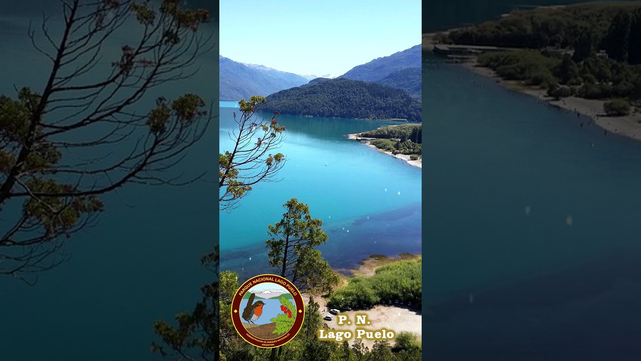 🌳Así es el Parque Nacional Lago Puelo, Chubut | Ruta 40 Patagonia Argentina  #ruta40