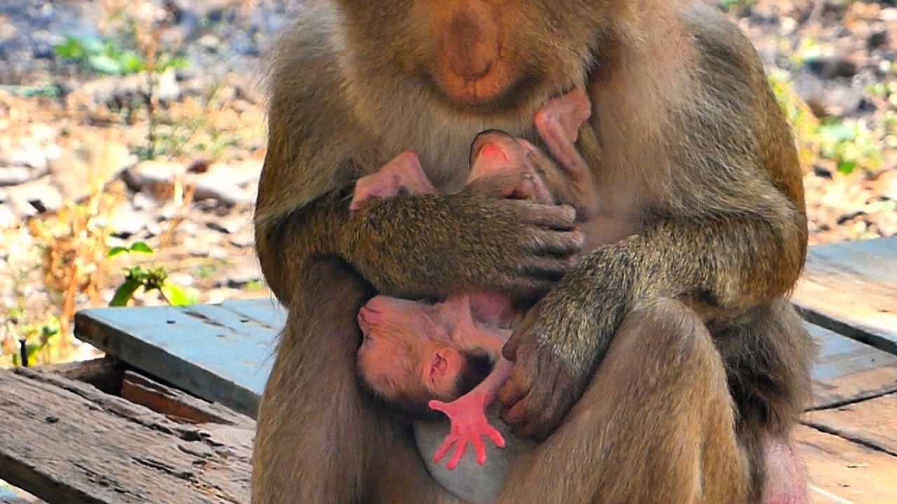 Stephanie mother was holding her little baby, her head bowed down.