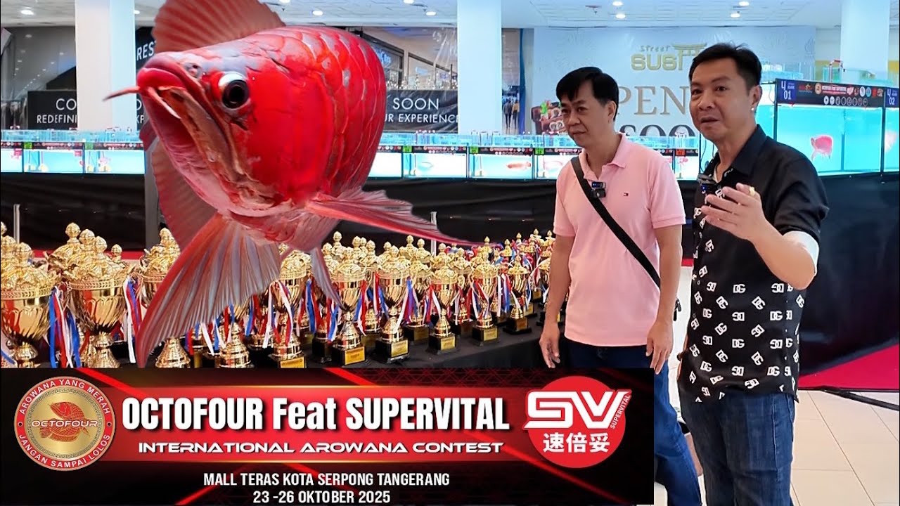 Tập 1 - Cuộc Thi Cá Rồng OCTOFOUR FEAT SUPERVITAL tại Indonesia