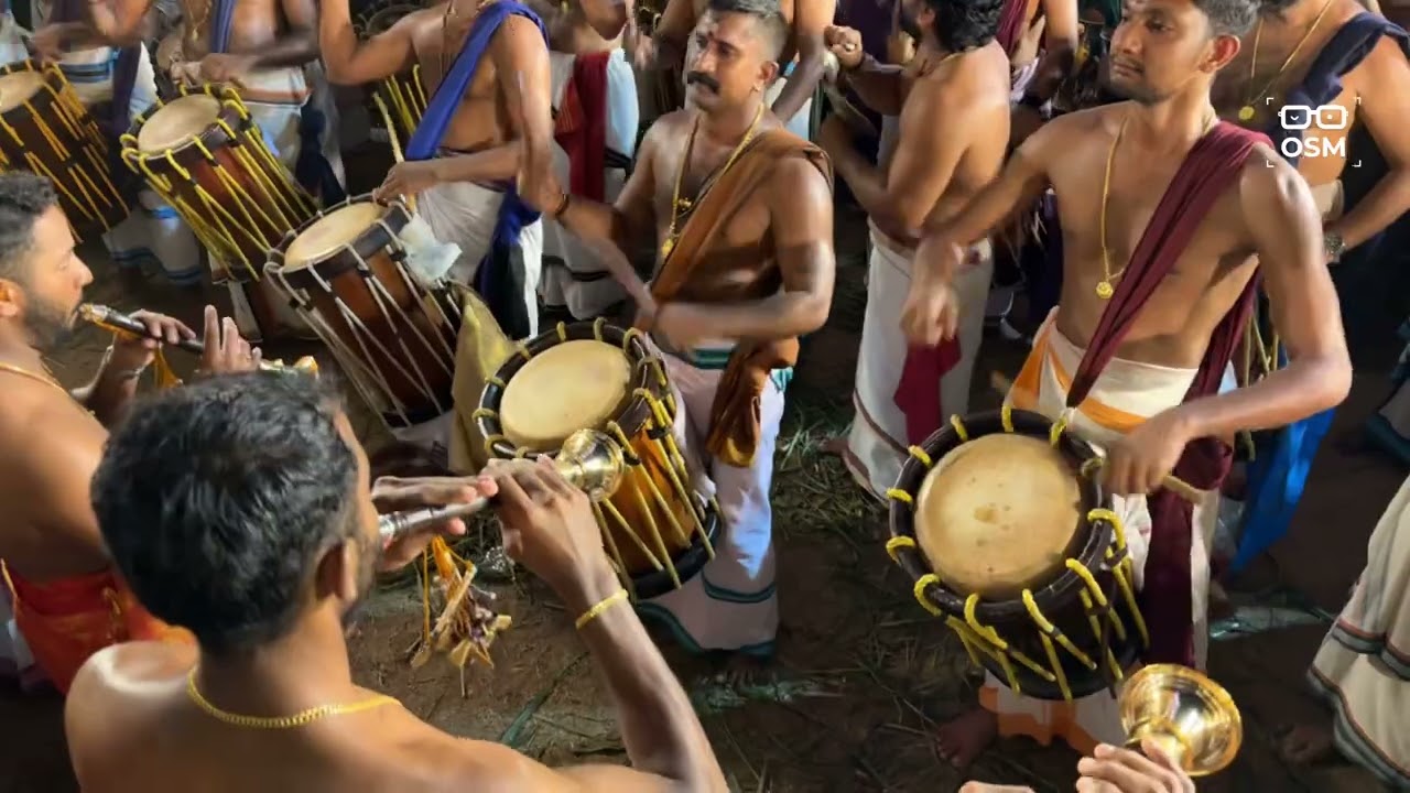 പള്ളിപ്പുറം വൈശാഖ് മേളം 💥💥 #ulsavam #temple #pooram #vibe #fullon 