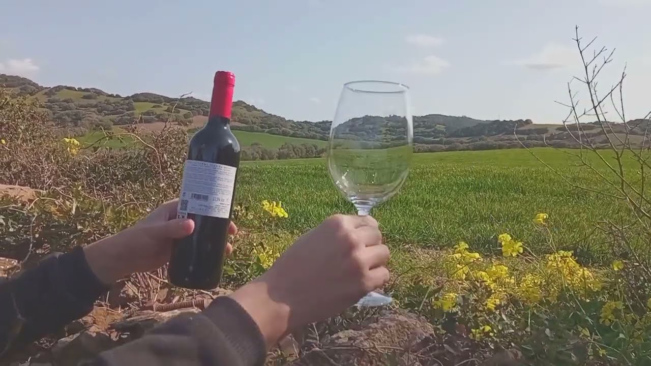 Menorca winery visit