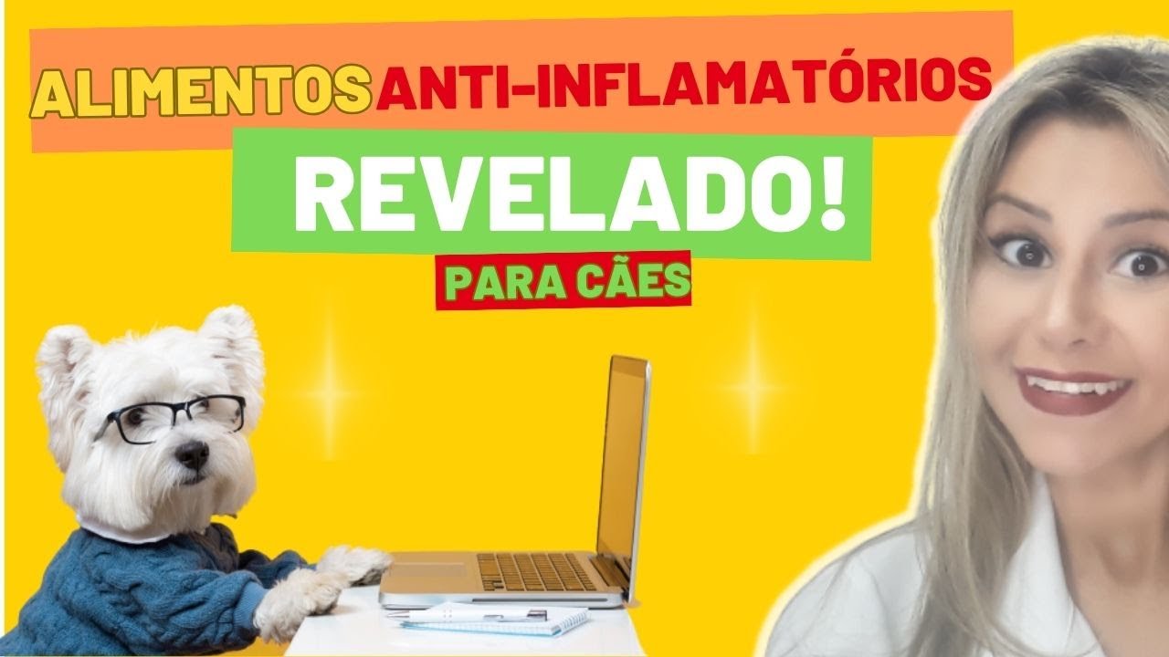Cães Mais Saudáveis, Vida Mais Longa: Alimentos Anti-inflamatórios Revelados! Alimentos para cães!