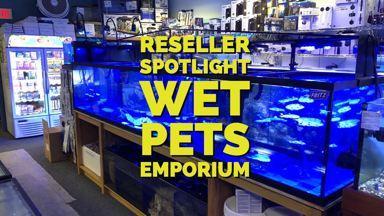 Reseller Spotlight:  Wet Pets Emporium