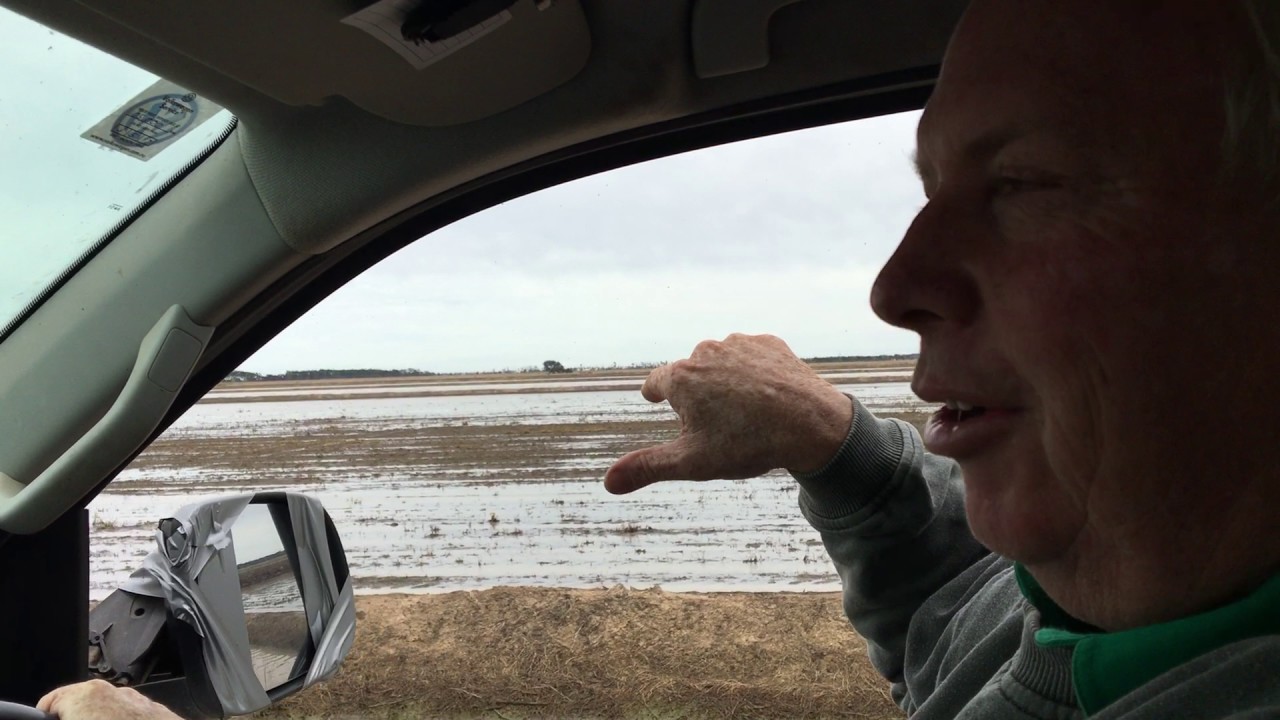 Russell Ford talks rice varieties at RRAPL