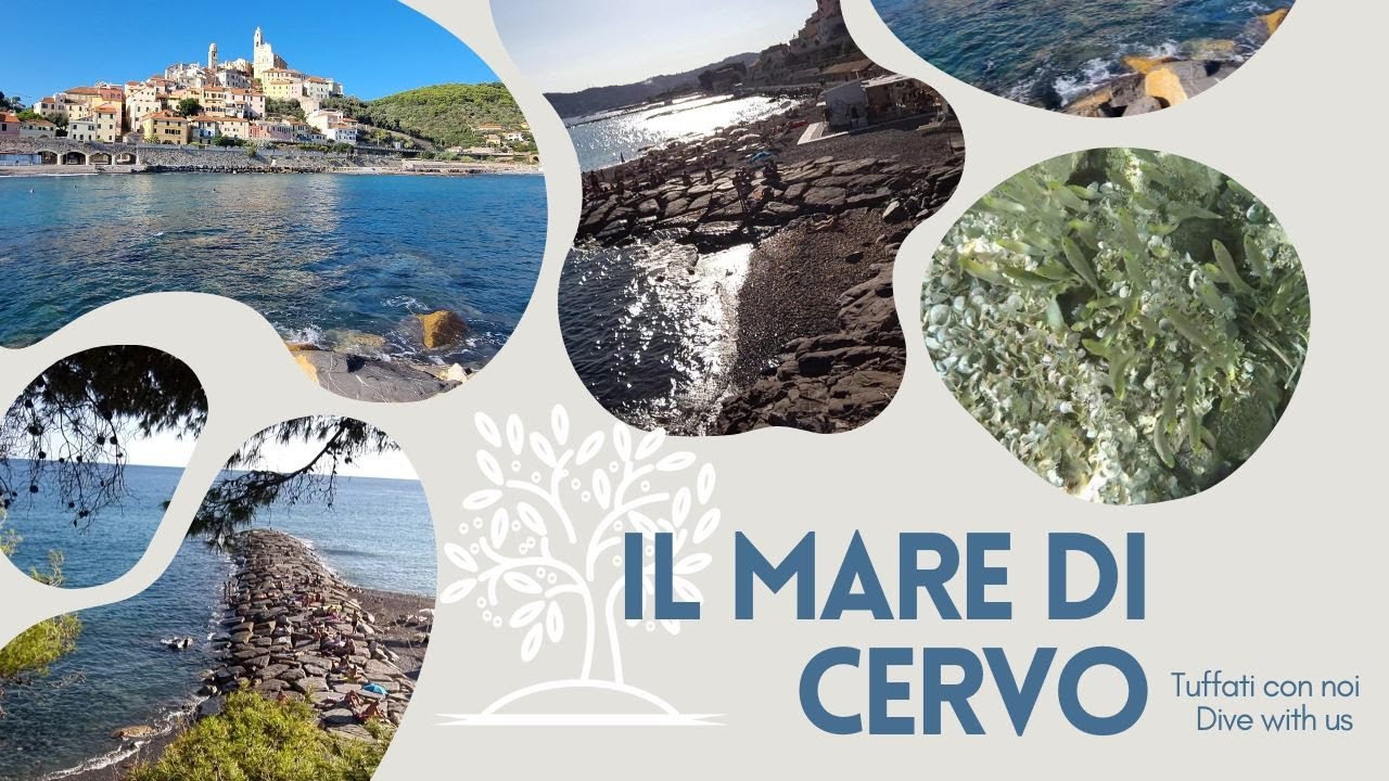 Il mare: CERVO