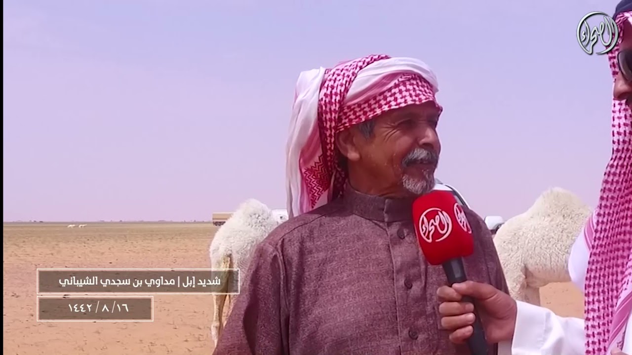 شديد اهل الابل | مع مالك الابل / مداوي بن سجدي الشيباني | 16-8-1442