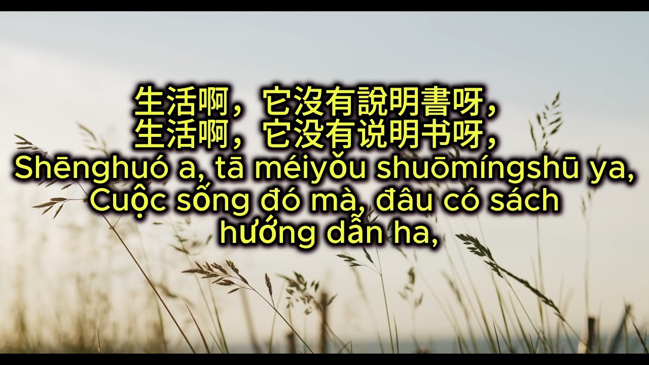 Luyện đọc tiếng Trung | Cảm ơn bản thân đã không bỏ cuộc |Tiếng Trung và Đời Sống #podcast
