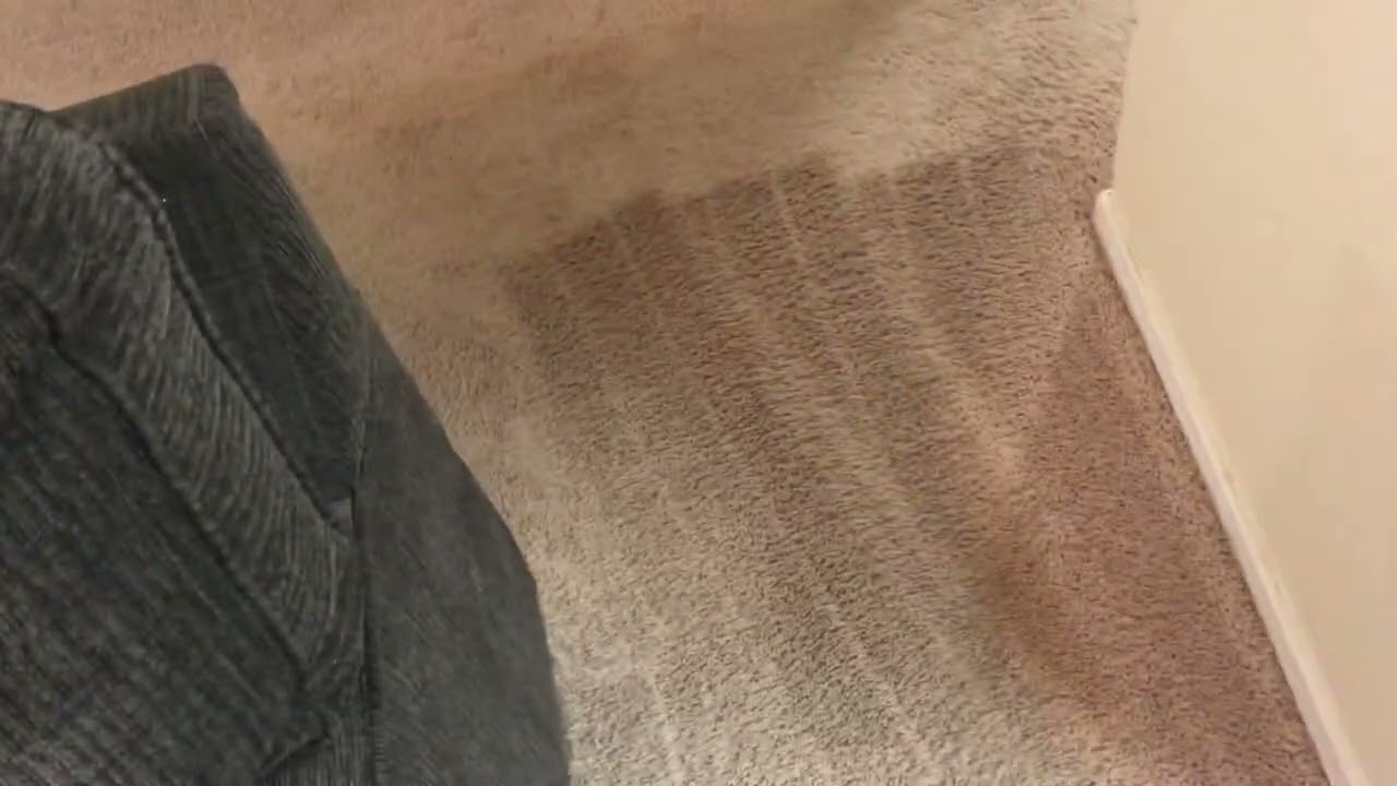 ASMR | POV Natural after Carpet Cleaning | Bin-Dump/fine dirt pickup w/Cleanview
