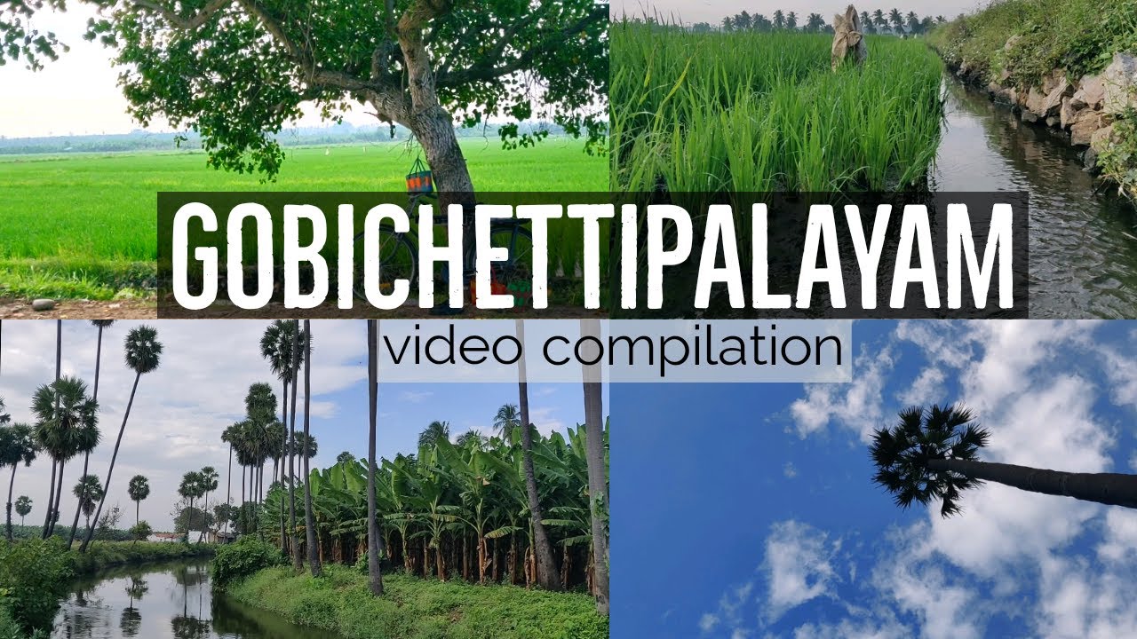 Finest display of nature || Gobichettipalayam || கோபிசெட்டிபாளையம்