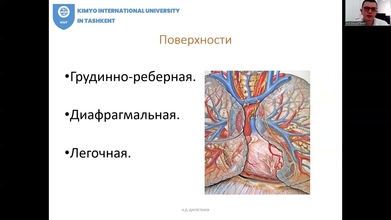 ССС