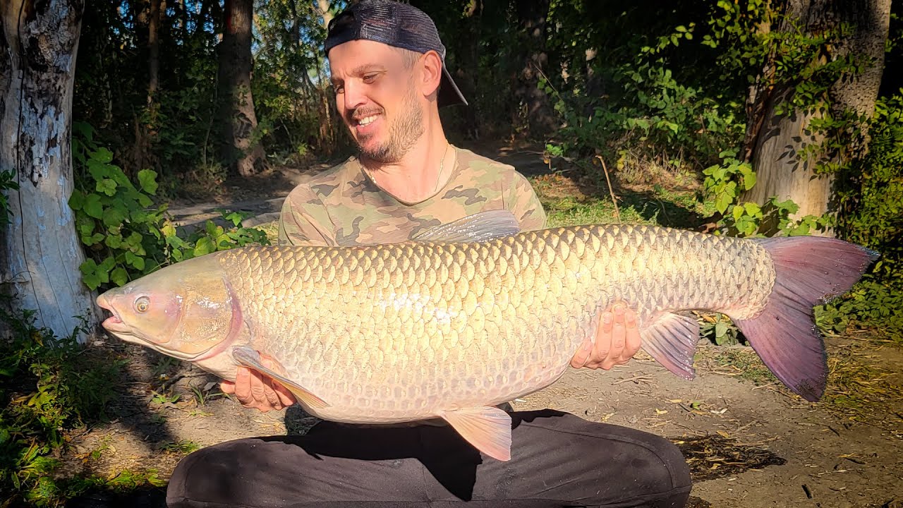 TROFEUL MEU SĂLBATIC 2023 - BĂTĂLIA CU GIGANTUL TEN(AMUR) DE PE RÂUL NISTRU