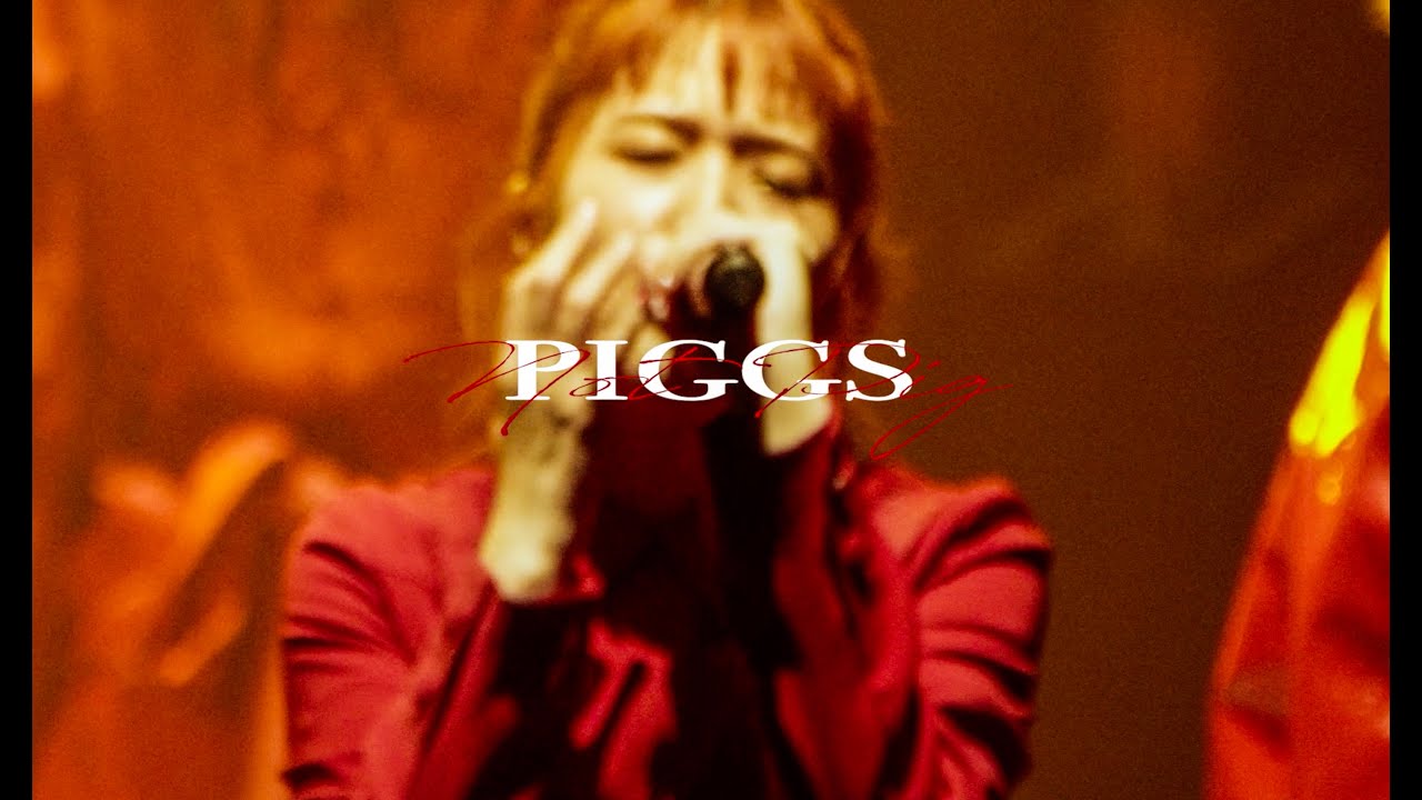PIGGS / NOT PIG (