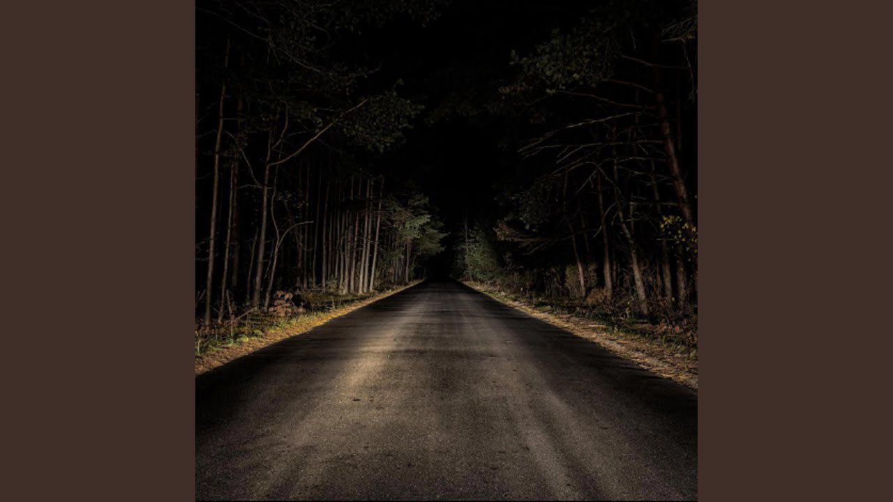 The Nigth We Met