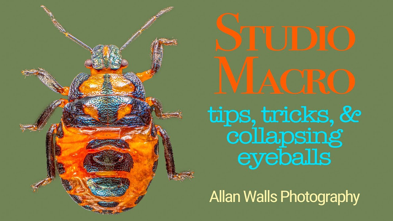 Studio Macro - tips, tricks, and collapsed eyeballs