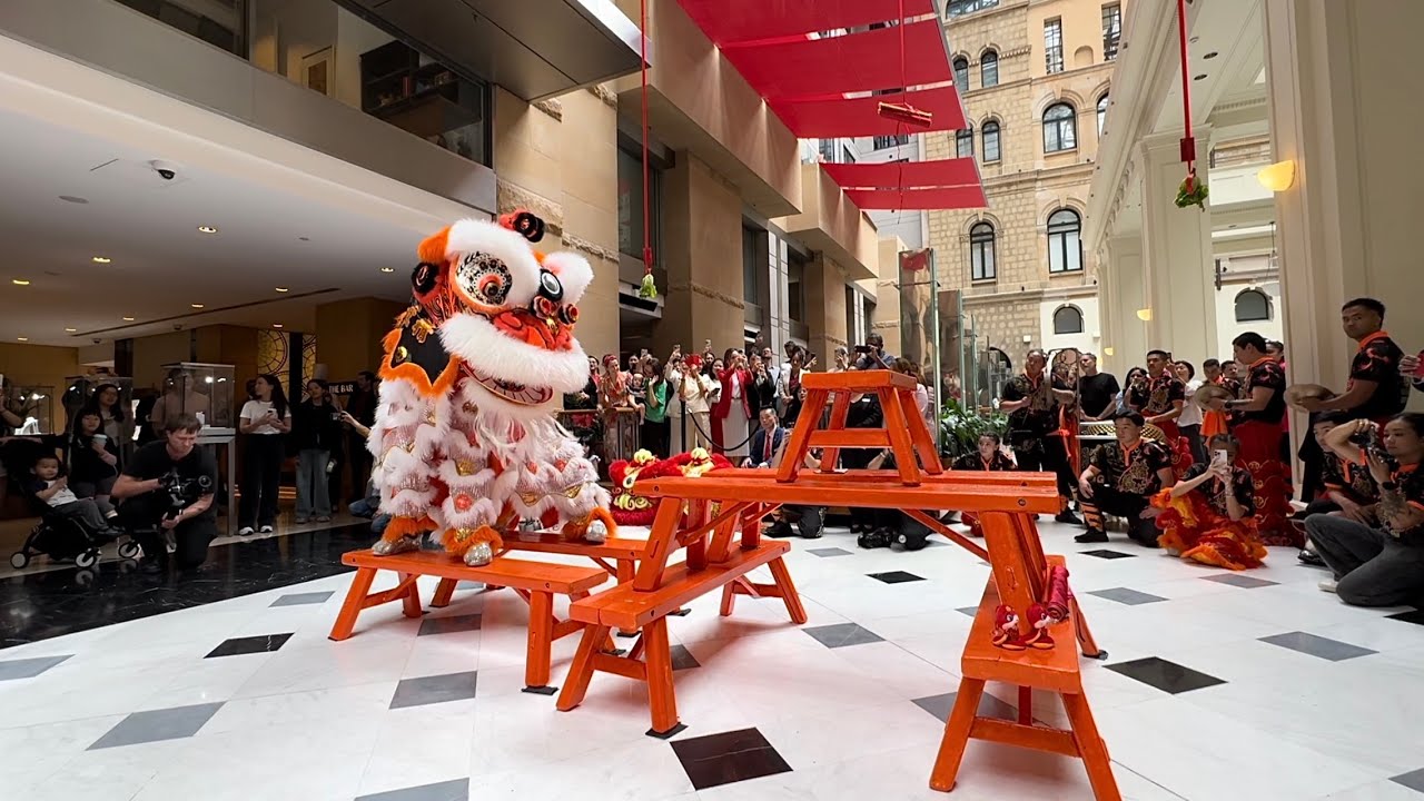Bench Routine Lion Dance | Lunar New Year 2025 | Đoàn Lân Sư Rồng Tinh Nghĩa | 澳洲精義醒獅團