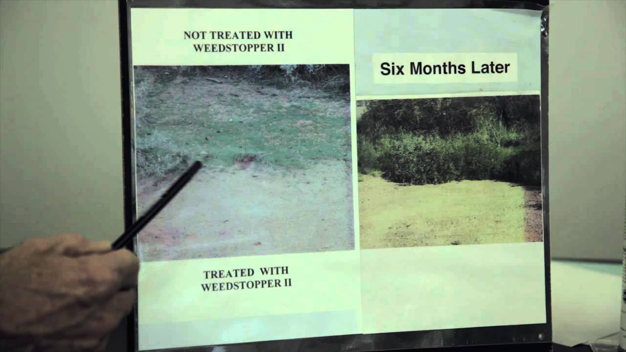 Do-It-Yourself Weed Control: Using Preemergence Weed Control