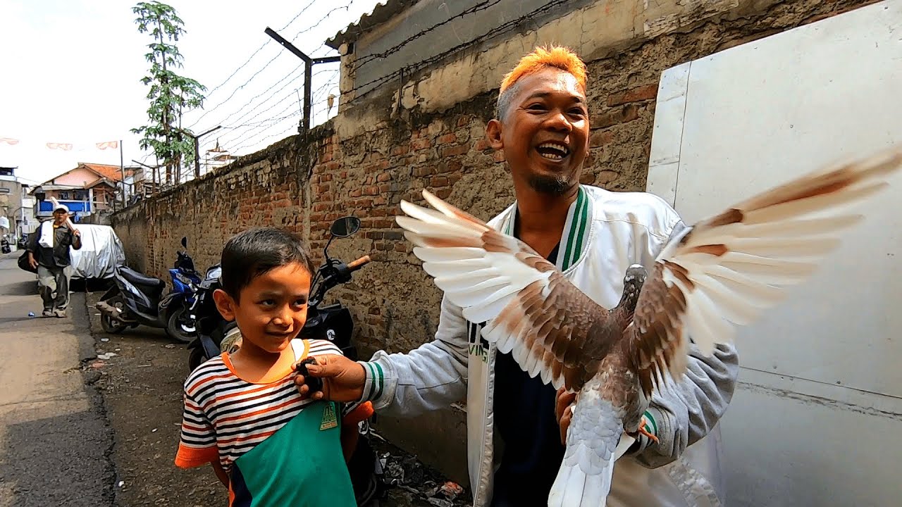 Review Pedagang Merpati Sukahaji Bandung || Part 2
