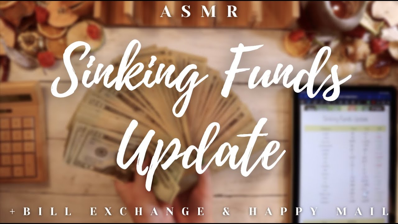 $6000 Bill Exchange & Sinking Funds Update ASMR | Happy Mail + Cash Out | 22 Year Old Budgets