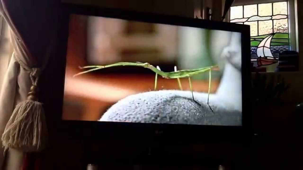 ITV Granada Adverts | Tue 7|4|2015
