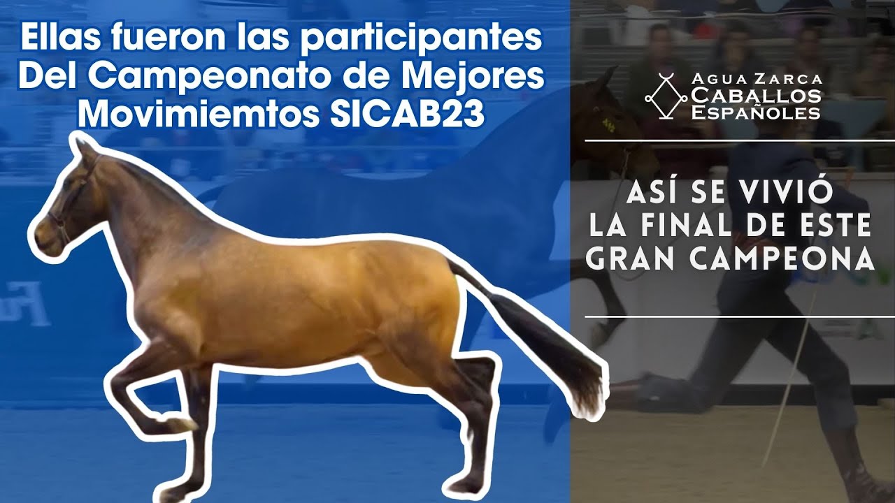 Campeona Adulta de Mejores Movimientos SICAB 23 | Ellas fueron las Participantes
