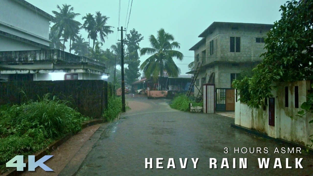 [4K ASMR] 3 Hours Heavy Rain Walk in Kerala | Beautiful Monsoon Sounds for Deep Sleep & Study