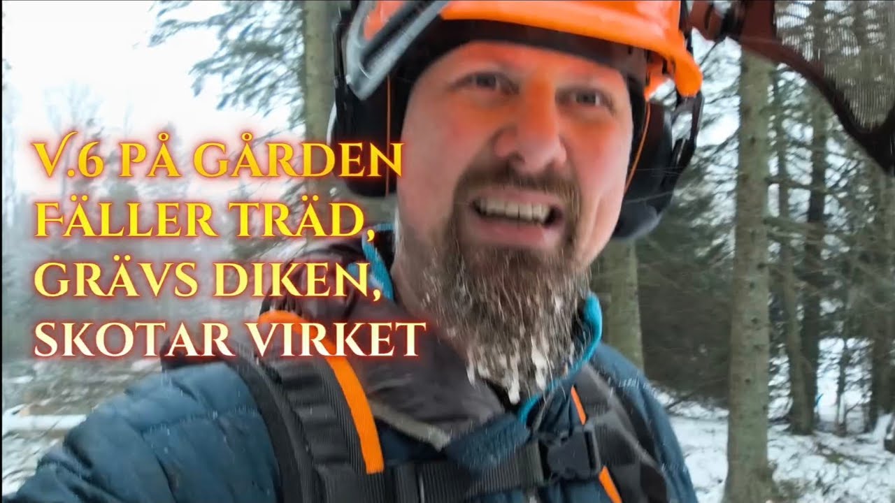 V.6, fäller träd, Martin gräver diken med 23 tonnaren, skotar virket, räknar Fub
