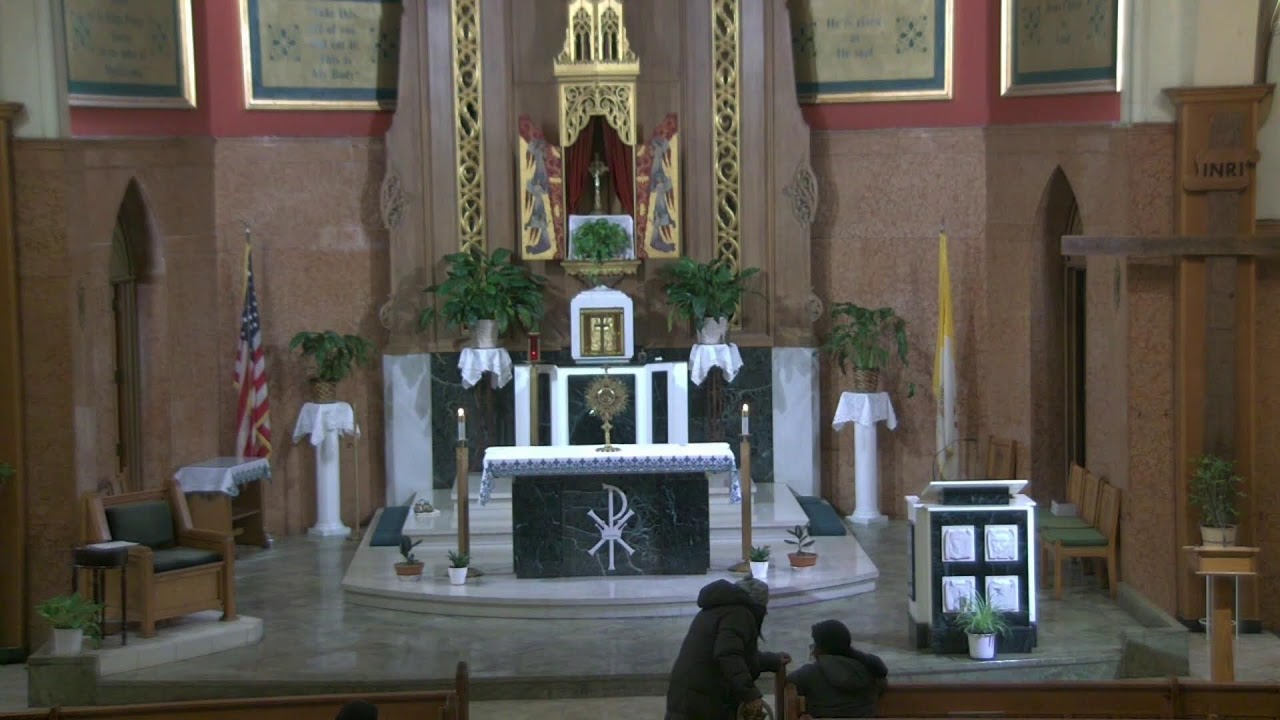 Daily Mass - Tuesday at 8:30 AM