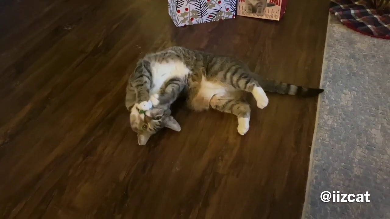 Opening presents with Minnie and Dany