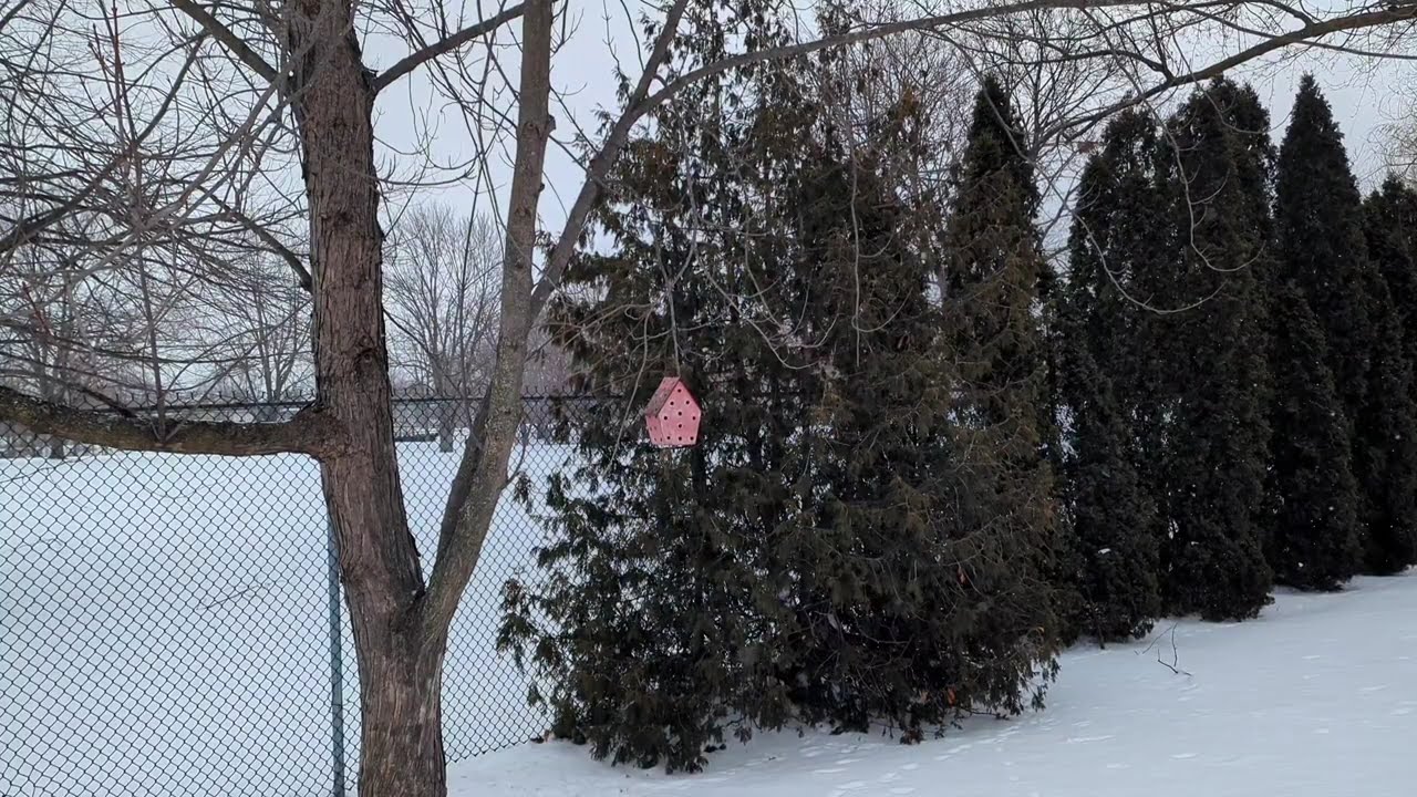 Sad Piano Music for Lonely Winter days ❄️ Heavy Snowfall /Ambience​ Sad Piano Music /Cold Winter.