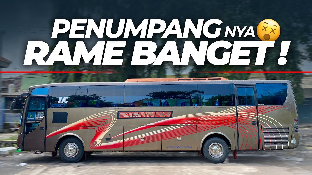 SIAPA SANGKA TERNYATA INI PO PERORANGAN, TAPI LANGGANANNYA BANYAK‼️Trip Madju Malang - Probolinggo