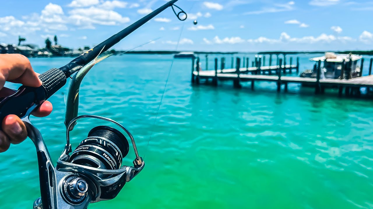 2 Days Dock Fishing in Florida With Live Bait - Bite Was Hot