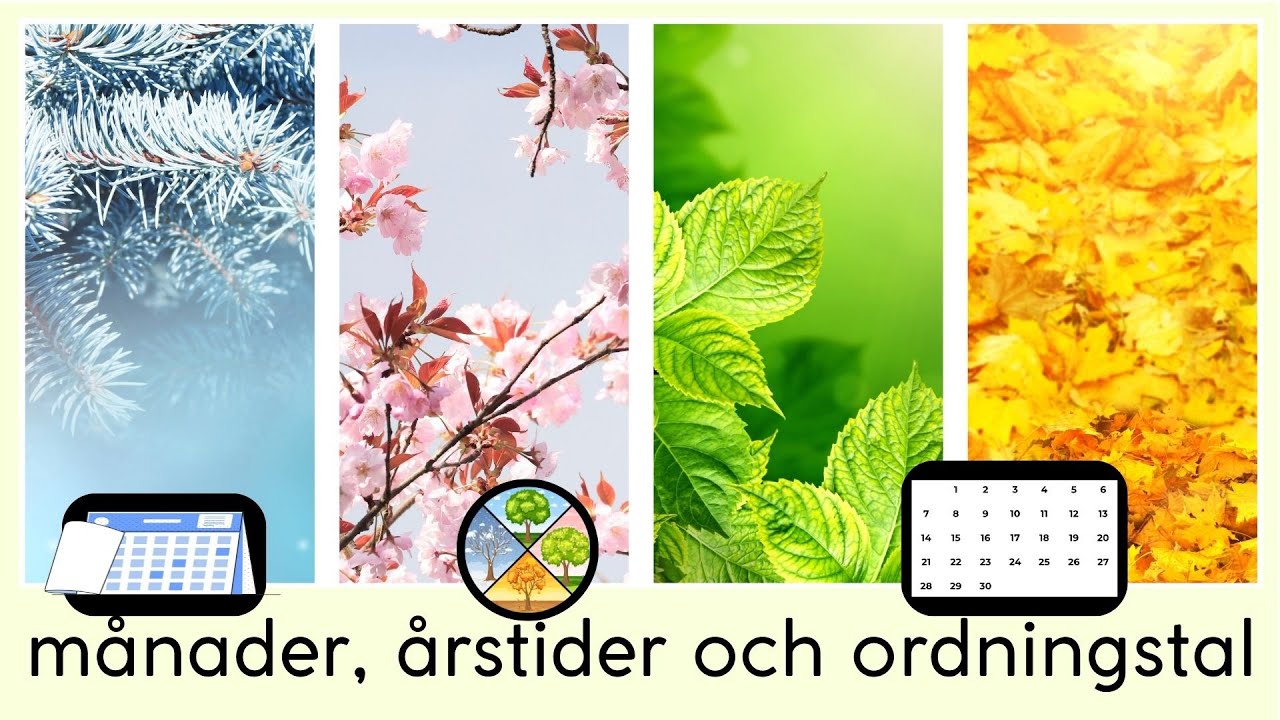 Årstider, månader och ordningstal (ett år, sfi)