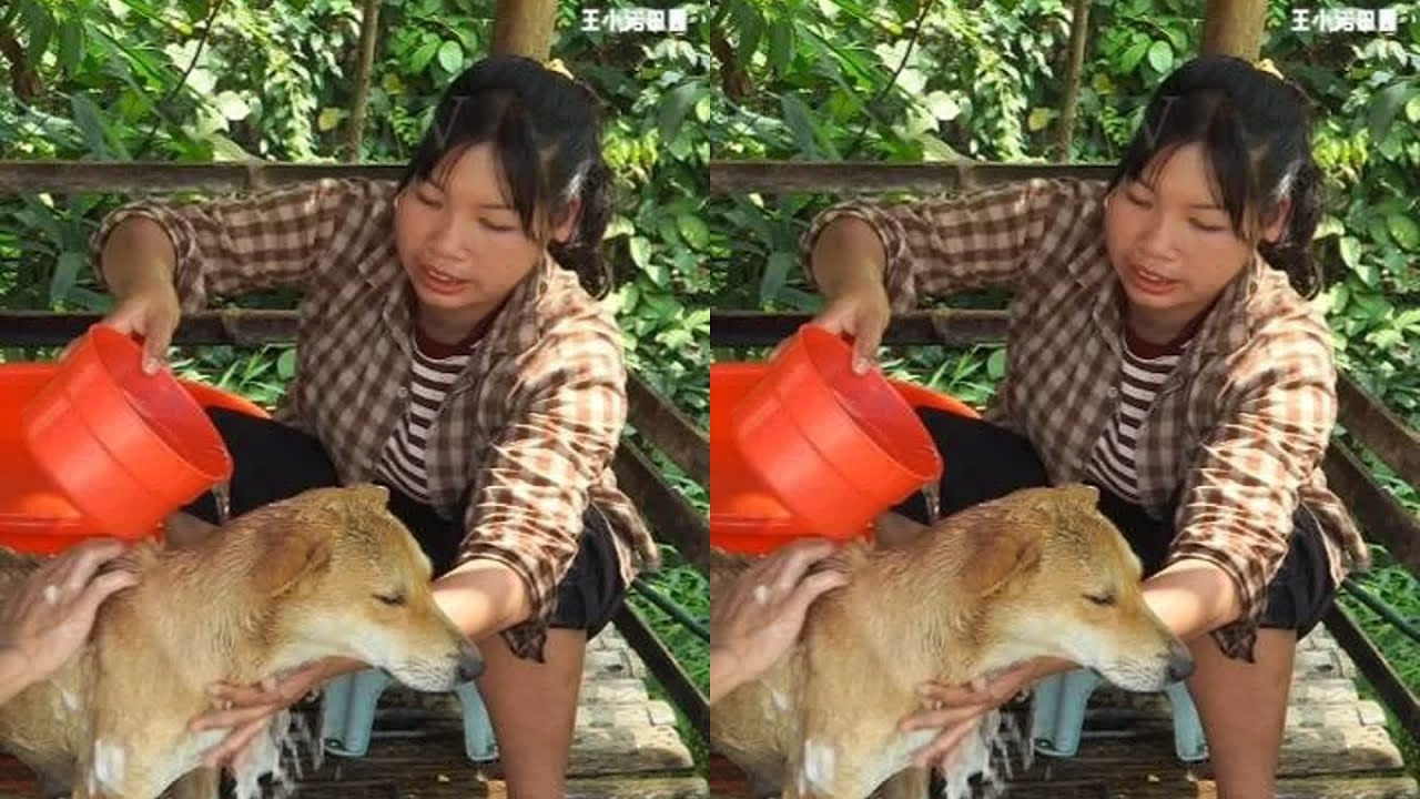 小麗和對象浪漫約會！田園生活心情好到飛起…這粉紅泡泡也太閃了！