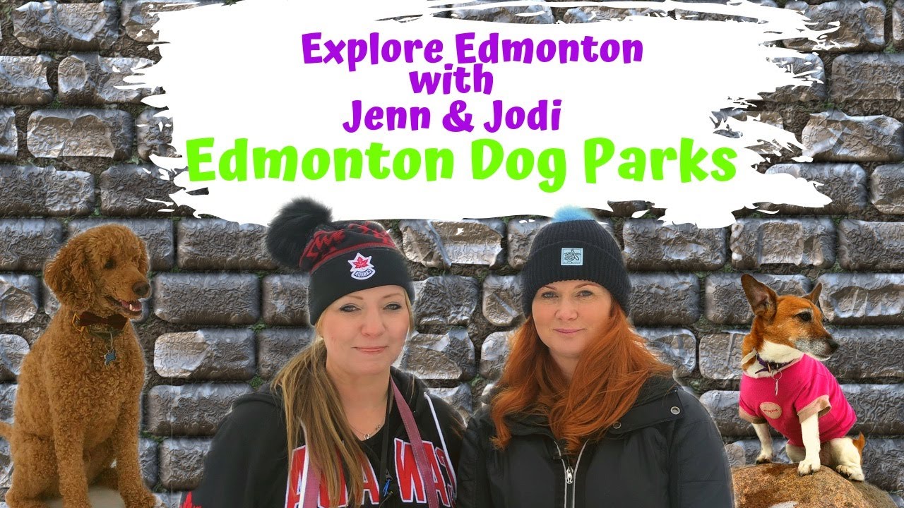 Explore Edmonton with Jenn & Jodi: Edmonton Dog Parks