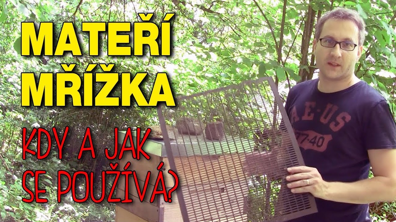 JAK a KDY používat mateří mřížku?