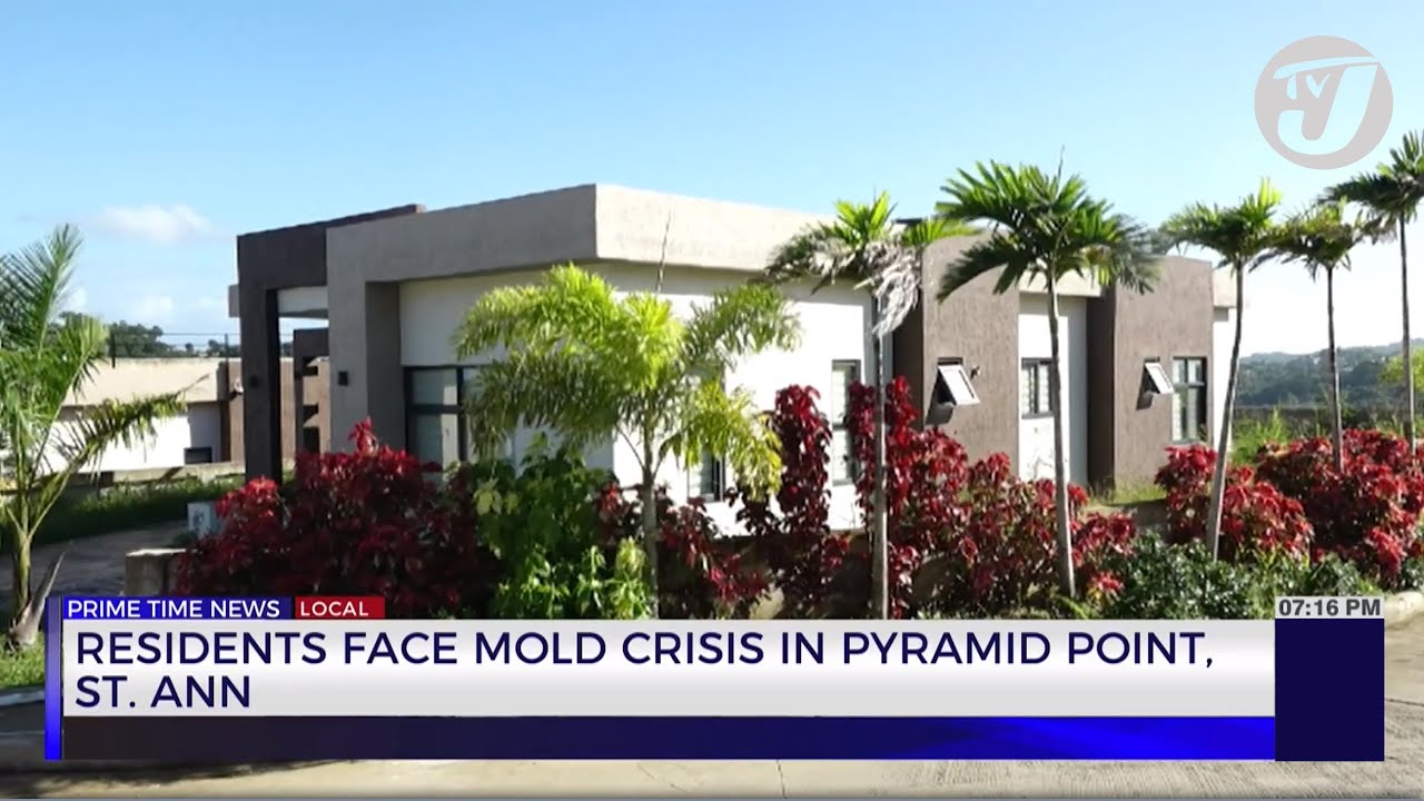 Residents Face Mold Crisis in Pyramid Point St. Ann | TVJ News