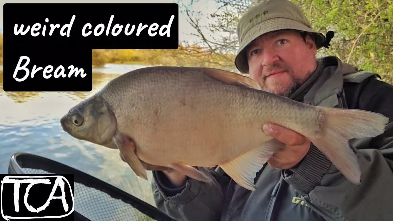 Fishing a big pit for Bream VID 024
