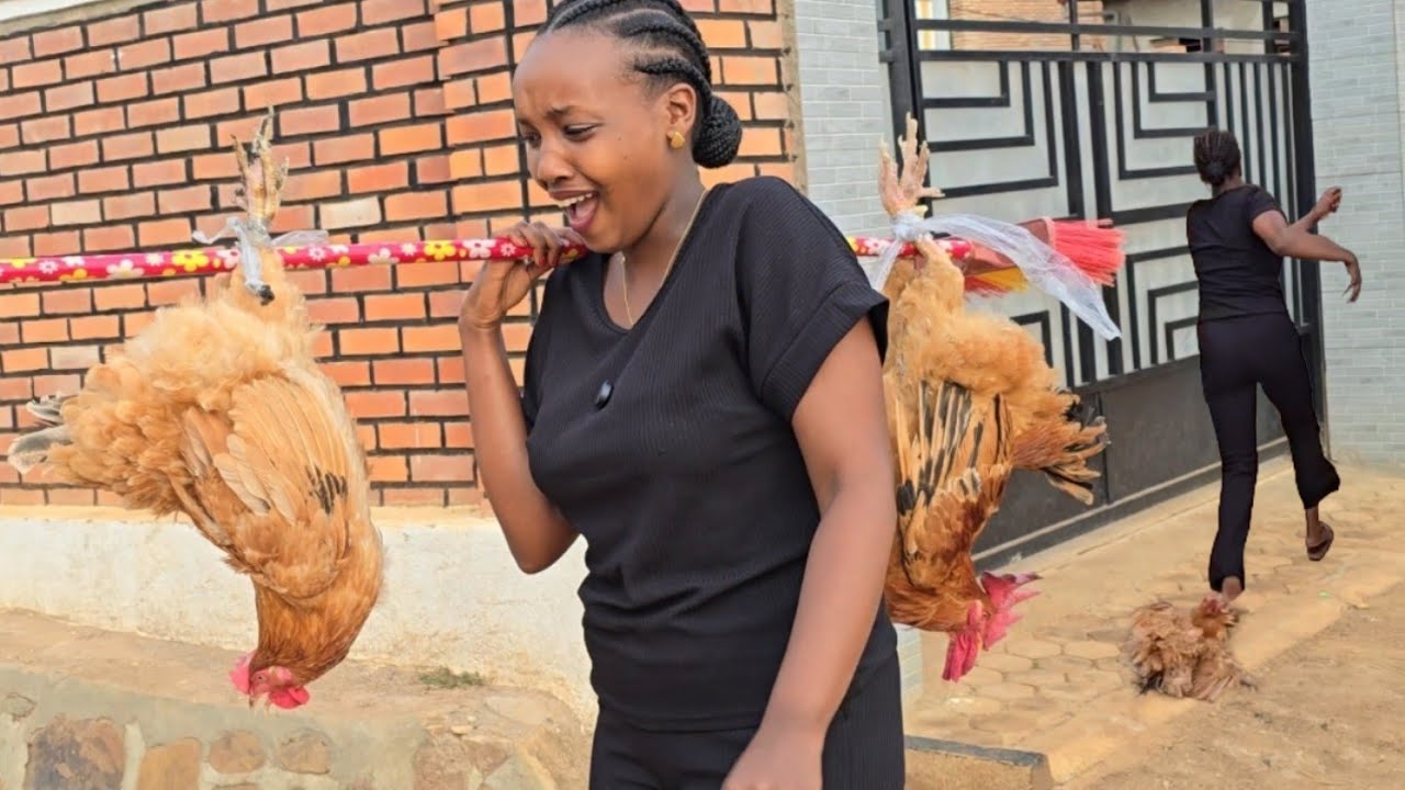 Mbega ibintu Clement akoreye Aliane 🥹Inkoko yariye ZIMUKOZEHO😭nibwo bwambere bimubayeho Mubuzima bwe