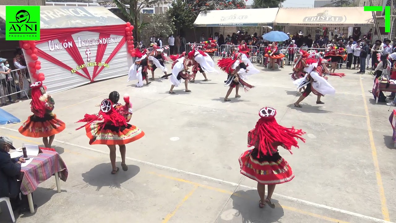 Wallatas Tusuy - Cusco - CIDF Ukumanta (Cani Cruz de Oro 2021 - Unión Independiente)