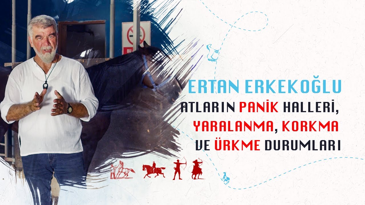 Atların Panik Halleri, Yaralanma, Korkma ve Ürkme Durumları