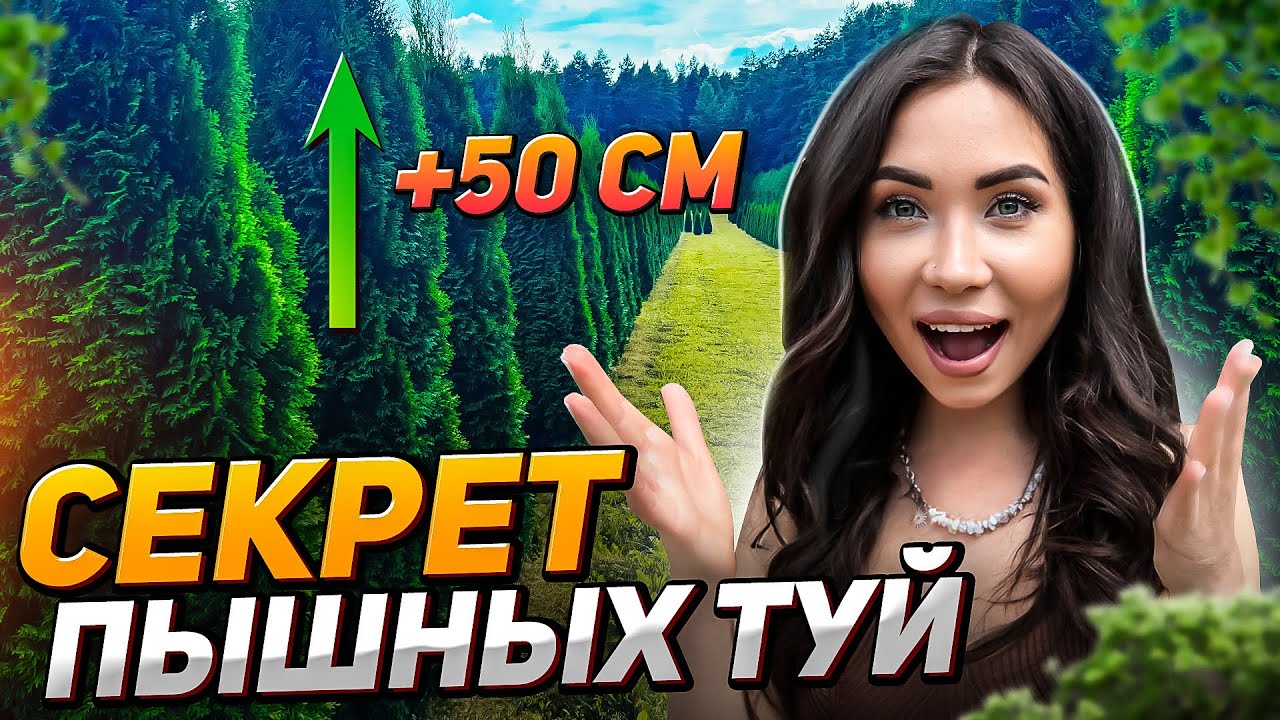 ПЫШНЫЕ ТУИ НЕЛЬЗЯ ВЫРАСТИТЬ (если не делать это!)