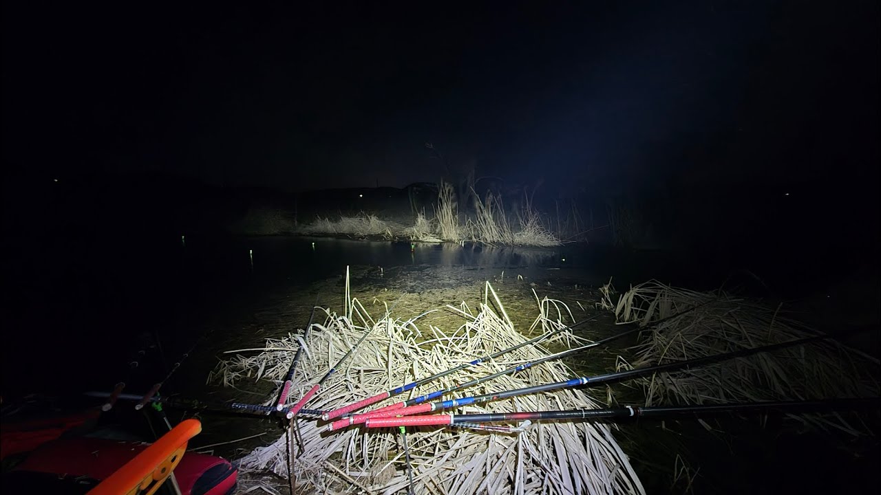 [조황]_ 중부권 바람 많이 붑니다. / 출조 불가~!!