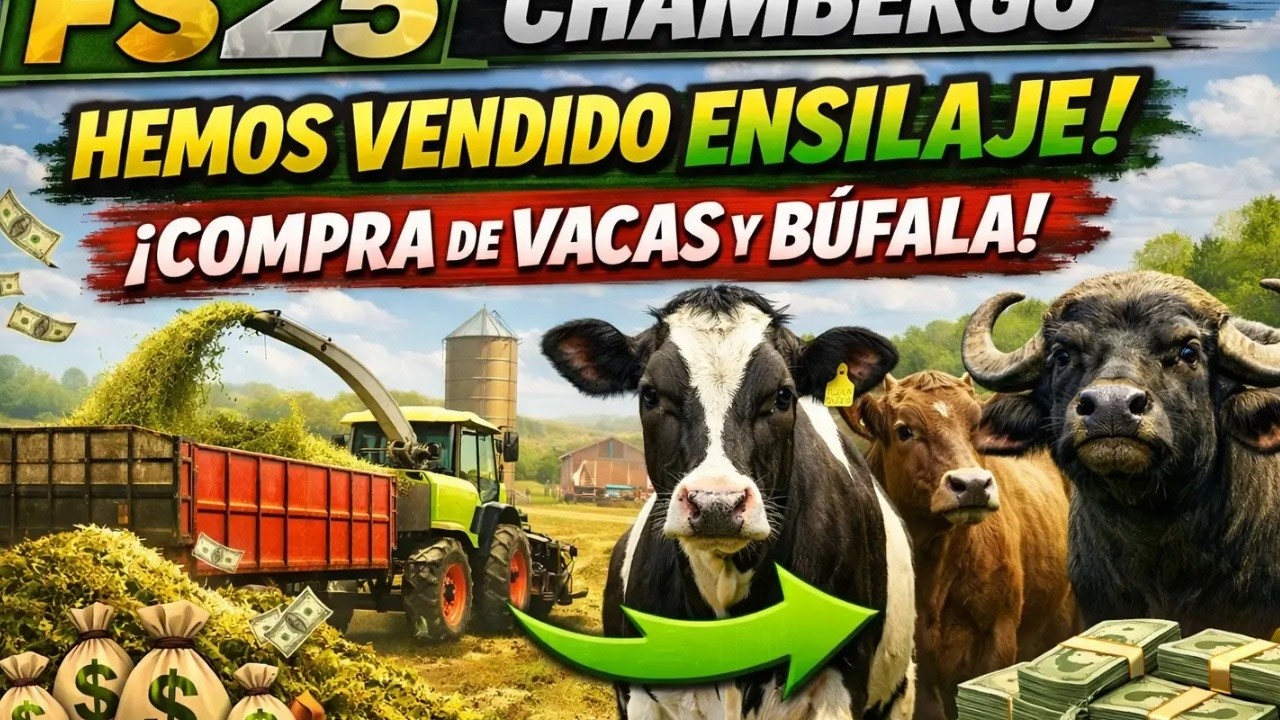 Es rentable el ensilaje?18.000 euros y compramos vacas