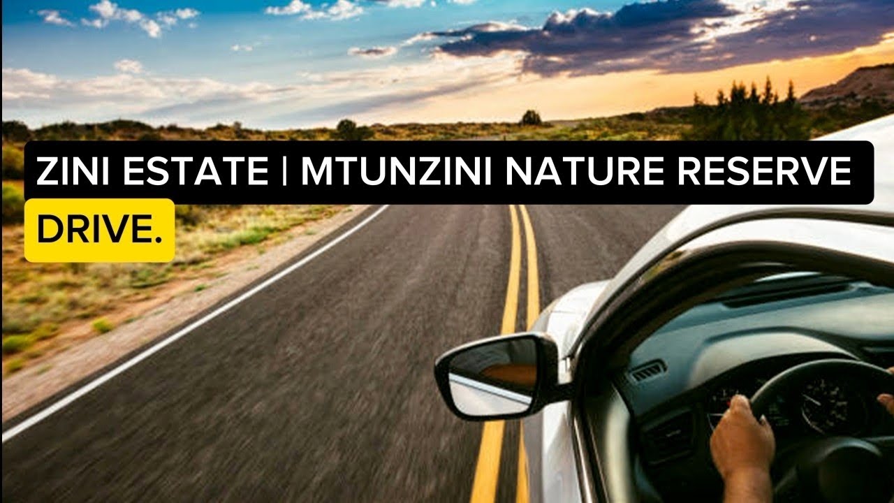ZINI ESTATE TO MTUNZINI NATURE RESERVE DRIVE | KZN | SOUTH AFRICA #automobile #travel #car 