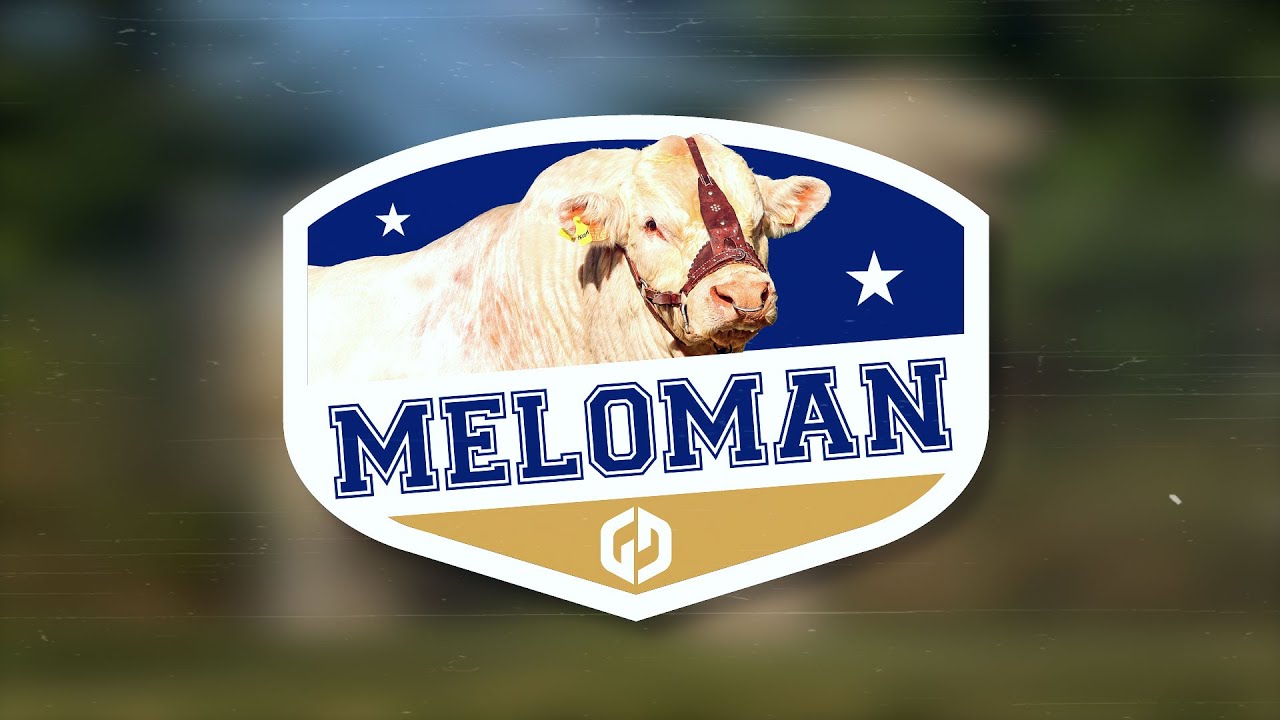 🐂**MELOMAN — Plus qu’un taureau, un fondateur !**
