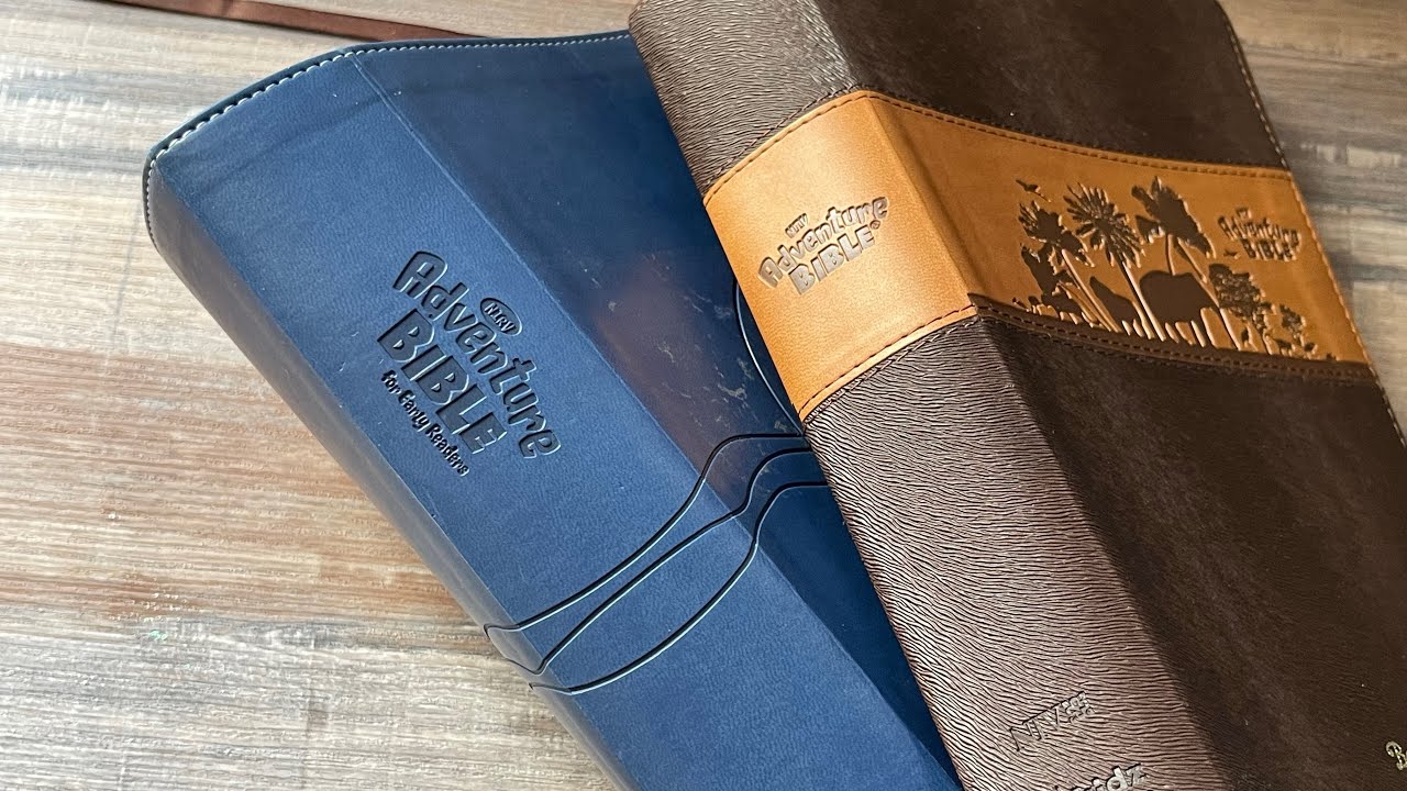 NIV / NIRV Zonderkidz Adventure Bible - a quick look inside!