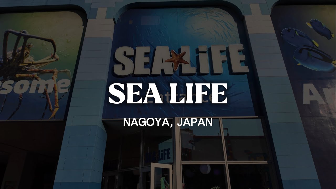 A Day at Sea Life Nagoya with a Kid 🐧 Japan Travel Vlog